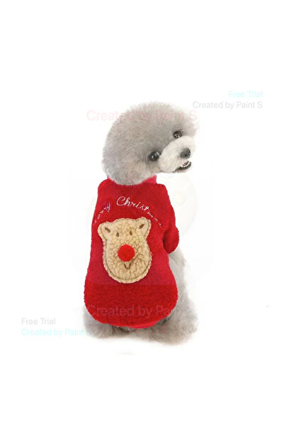 fara marca Puppy T-shirt