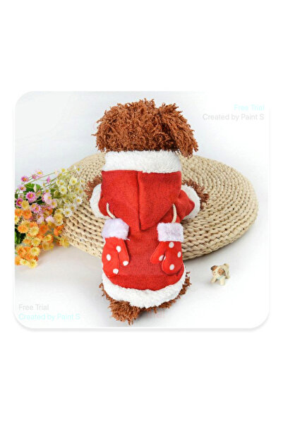 fara marca Puppy T-shirt