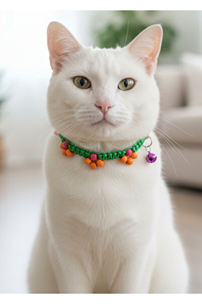 balkonda طوق قابل للتعديل للقطط مع خيط مضفر وخرز أخضر وجرس