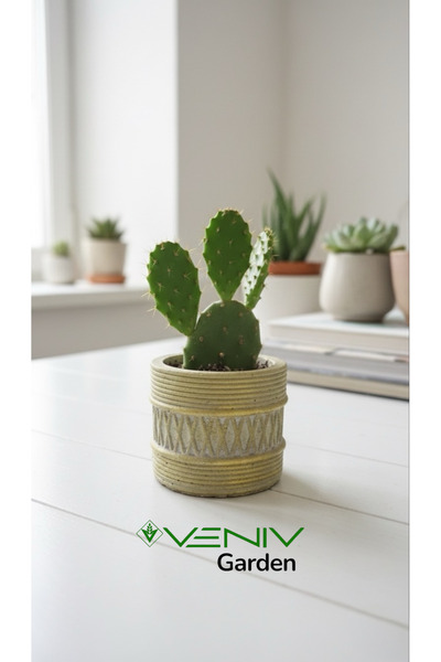 VENİV Beton Saksı El Yapımı Nostalji Eskitme - Gold Detaylı - 5 cm VG2