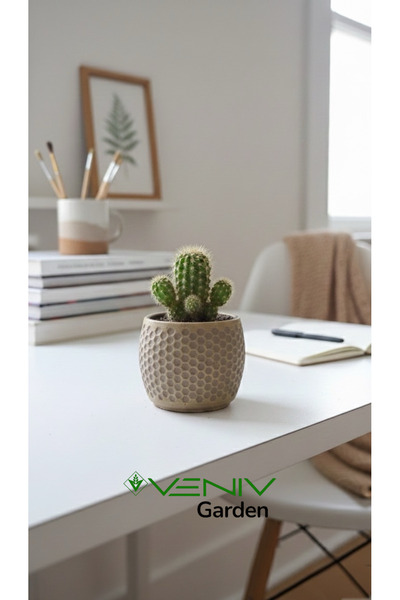 VENİV Beton Saksı El Yapımı Nostalji Eskitme - Gold Detaylı - 5 cm VG3