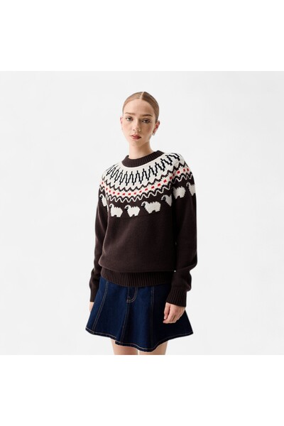 Hunter Bisiklet Yaka Normal Kahve Kadın Kazak HARW0074251-CB