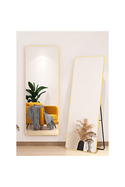 NKX مرآة خلع الملابس الدائمة 80 × 180 سم ذهبية