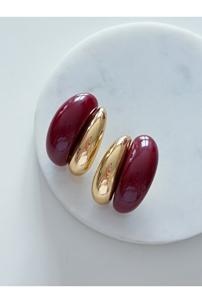 CHARMLUCKY Steel Bery Earrings