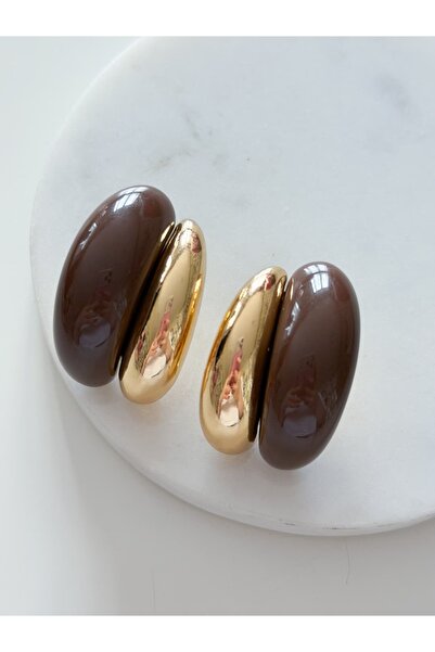 CHARMLUCKY Steel Bery Earrings