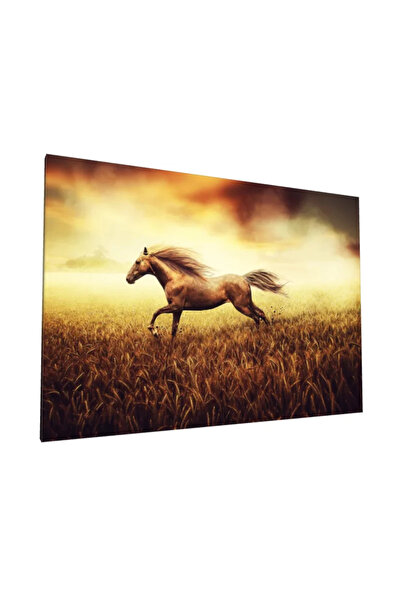 PozaTablou Pictură pe pânză: Cal în galop la răsărit (90x60 cm)