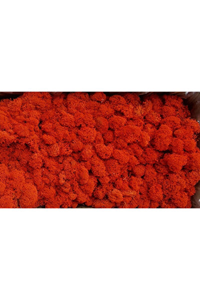 FantezieCuLicheni Stabilized natural lichens, 250gr, sienna