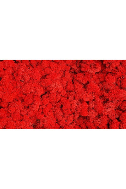 FantezieCuLicheni Stabilized natural lichens, 250gr, red