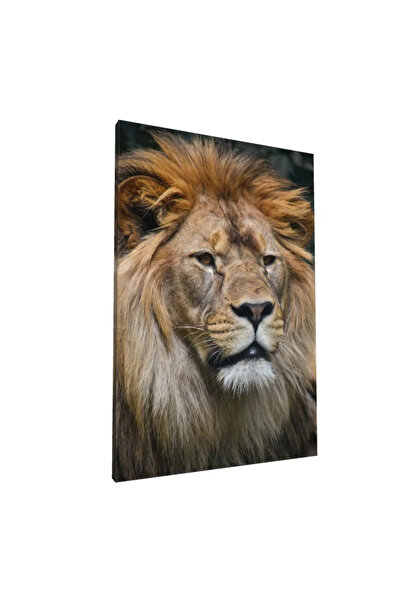 PozaTablou Pânză: Portret de leu maiestuos și detaliat 80x120 cm