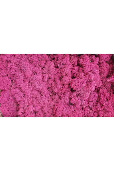 FantezieCuLicheni Licheni naturali stabilizați, 250gr