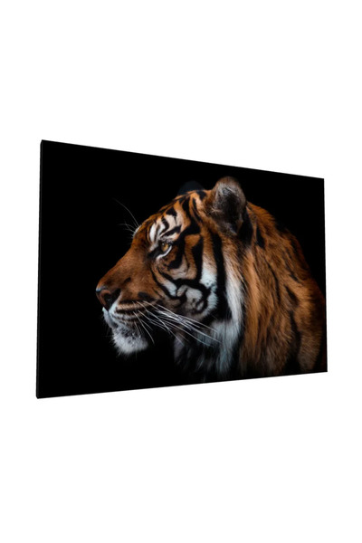 PozaTablou Pictură pe pânză: Profil de tigru în noapte 40x30 cm