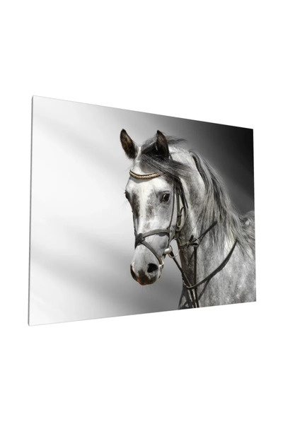 PozaTablou Pictură pe pânză: Portret de cal gri în lumină contrastantă 80x60 cm