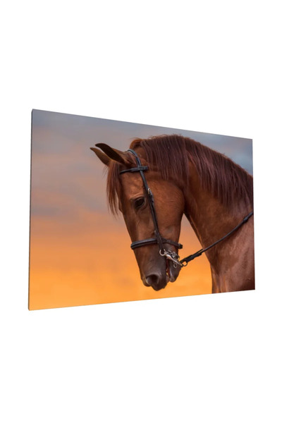 PozaTablou Pictură pe pânză: Portret de cal în lumina apusului 40x30 cm