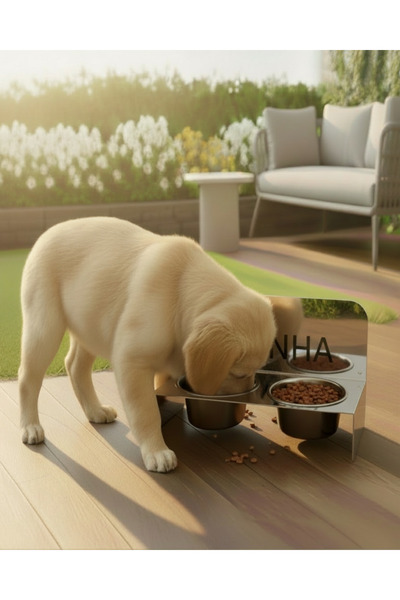 Kişiselleştirilebilir İsimli Paslanmaz Çelik Çift Hazneli Köpek & Kedi Mama ve Su Kabı Standı