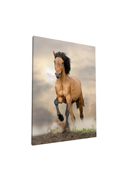 PozaTablou Pictură pe pânză: Cal în galop pe fundal de cer înnorat - 80x110 cm