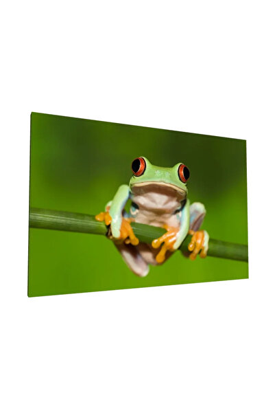 PozaTablou Pictură pe pânză - Broască cu ochi roșii pe o creangă (100x70 cm)