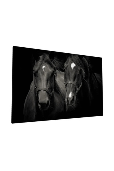 PozaTablou Pictură pe pânză: Portret de cai în tonuri monocrome 120x80 cm