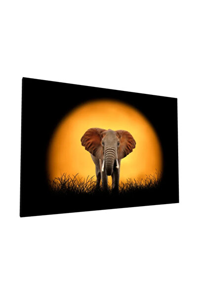 PozaTablou Pictură pe pânză: Elefant în apusul african (110x80 cm)