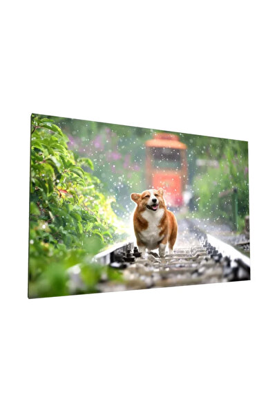 PozaTablou Pictură pe pânză: Corgi fericit pe șine de tren 30x20 cm