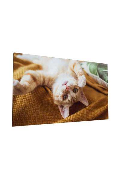 PozaTablou Pictură pe pânză: Pisică jucăușă pe pătură galbenă 120x70 cm