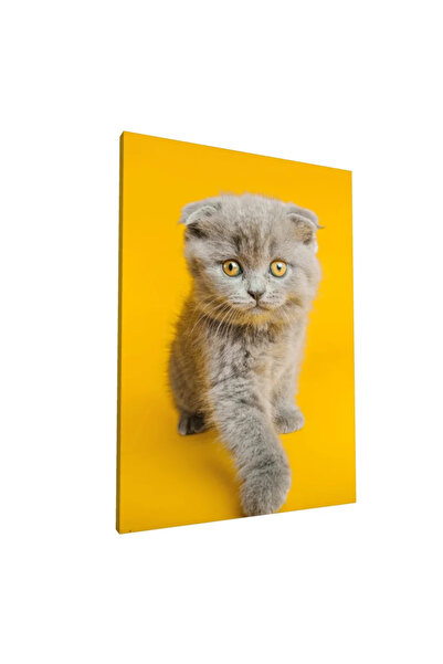 PozaTablou Pictură pe pânză: Pisicuță gri pe fundal galben 80x110 cm