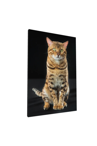 PozaTablou Pictură pe pânză: Portret de pisică Bengal pe fundal negru 50x70 cm