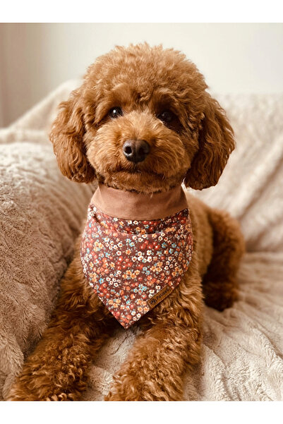 Patiset Köpek Bandanası Kahverengi-Minik Çiçekler Desenli Köpek Fuları,Pet Ak...