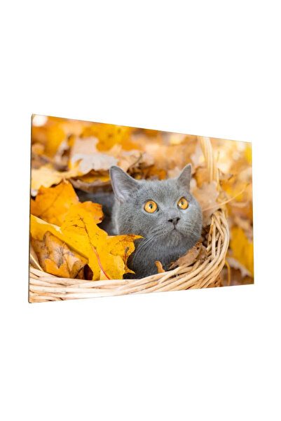 PozaTablou Pisică gri printre frunze de toamnă, pânză, 120x80 cm