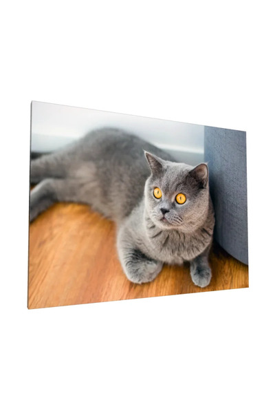 PozaTablou Pictură pe pânză: Pisică britanică cu blană gri și ochi aurii 40x3...