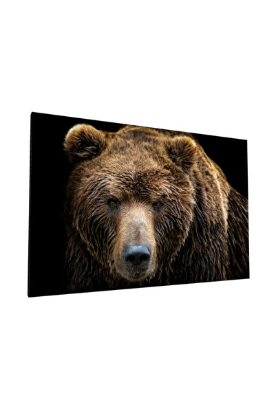 PozaTablou Pictură pe pânză - Portret realist de urs brun (100x70 cm)