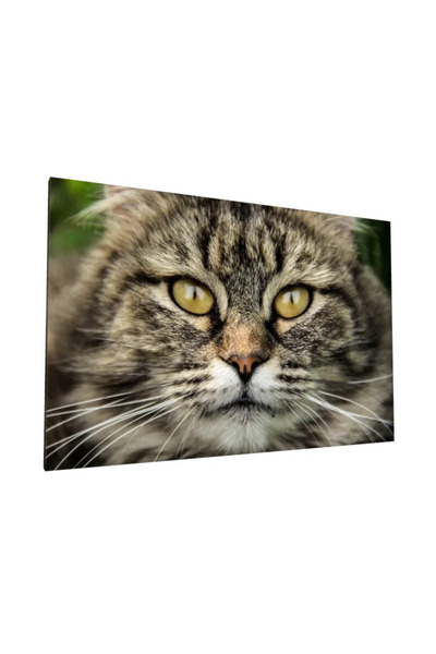 PozaTablou Pictură pe pânză: Portret detaliat al unei pisici cu blană moale 7...