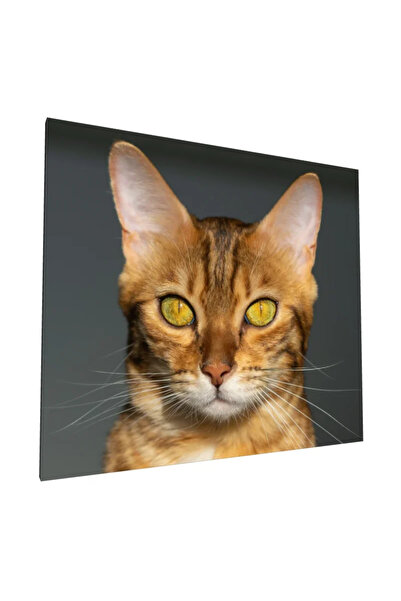 PozaTablou Pictură pe pânză: Portret de pisică Bengal în detaliu 90x80 cm