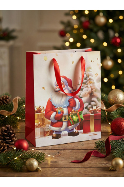 OEM Set of 12 Medium Gift Bags - 03