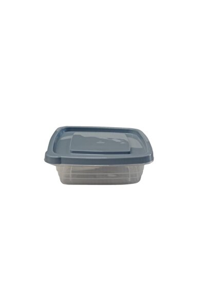 G Golden Case Set of 3 Bager Fresh Food Containers, square, 990 ml, BPA Free, Gray