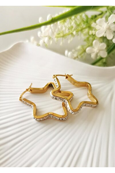 Halley Concept Star Patterned Stone Steel Earrings - Women