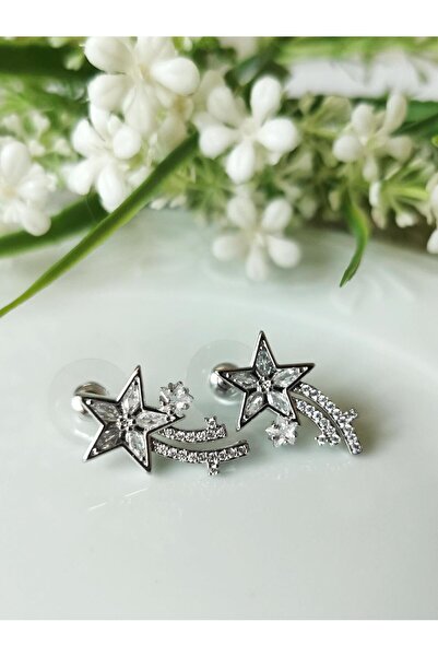 Halley Concept Zircon Stone Comet Vip Steel Earrings