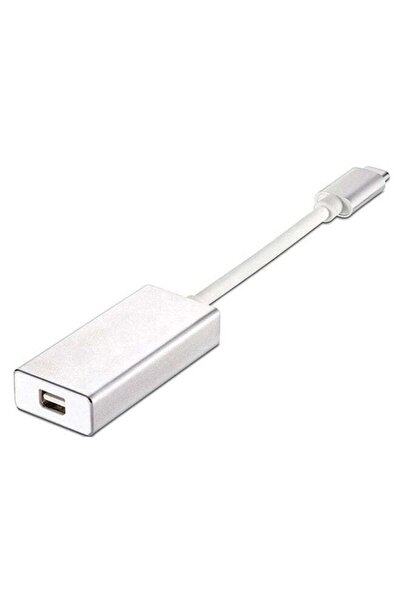 Generic USB-C To Mini DisplayPort Converter Adapter Silver 5.0