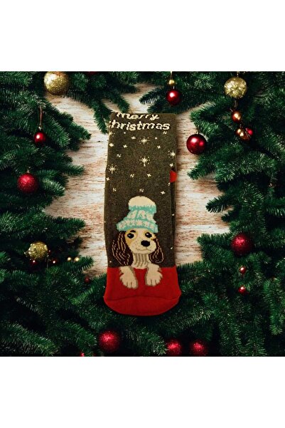 LİA Underwear New Year Themed Socks Single Pair