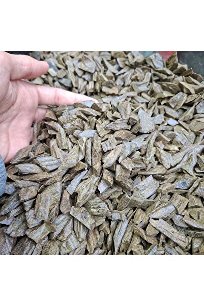 528 Oud Daqqa Moroki