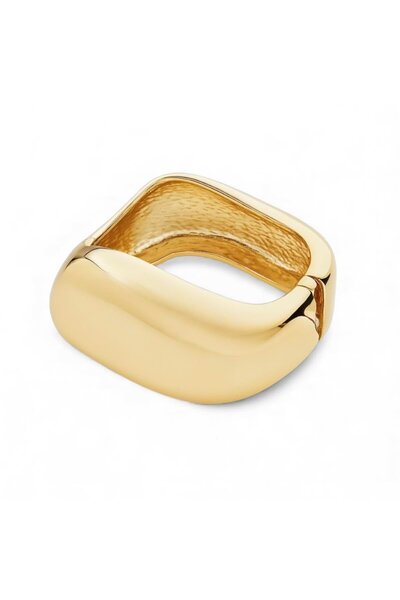 neslyaccessories Fluid Form Gold Clamp