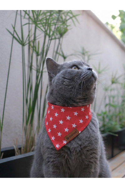 Patiset منديل للقطط بنمط نجمة حمراء، إكسسوار للحيوانات الأليفة، ملابس للقطط