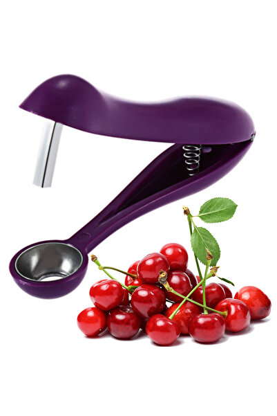 Choice Fruit Pit Remover Press Type Stainless Steel Cherry Pitter Multi-Function Cherry Seed Remover for...