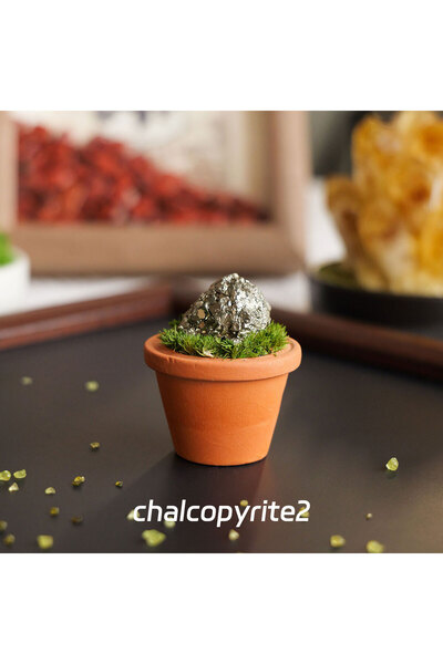 Choice كالكوبايرايت 2 قطعة واحدة من أحجار الكريستال الطبيعية، قاعدة وعاء طينية صغيرة، أحجار كريمة شفاء من الكوارتز والجمشت، مزروعة في وعاء