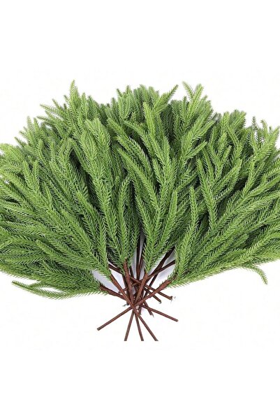 Choice 6 قطع من أغصان نورفولك لعيد الميلاد، سيقان نورفولك من خشب الصنوبر الوا...