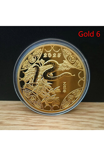 Choice 6 عملات تذكارية ذهبية للعام الجديد 2025 من الثعبان، ميداليات الأبراج ا...