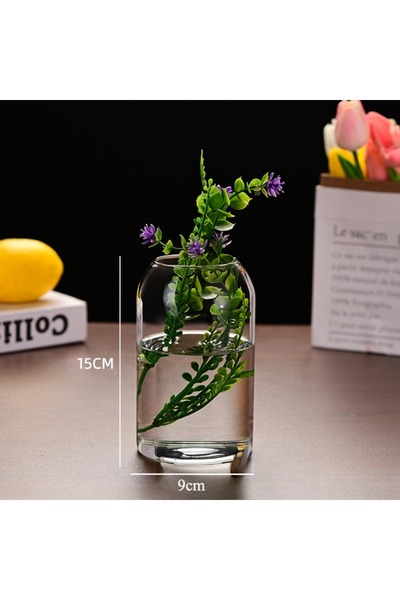 Choice قطعة واحدة - مزهرية زهور زجاجية بسيطة وعصرية، ديكور منزلي، زجاجة نباتا...
