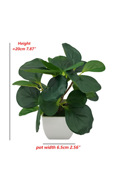 Choice كما يظهر نباتات اصطناعية صغيرة الحجم على شكل ورقة حواجب وأوراق بطيخ ون...