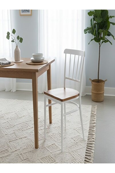 BEC13 A practical and sturdy dining chair for cafes and homes