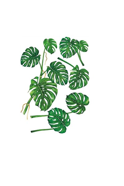 Yash Decorative wall sticker, Leaves pattern, 50x70 cm, green color