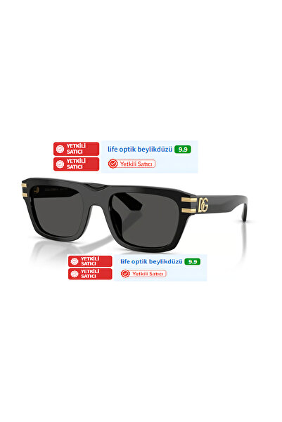 Dolce&Gabbana Dolce Gabbana 4496 501/87 54 21 145 3N